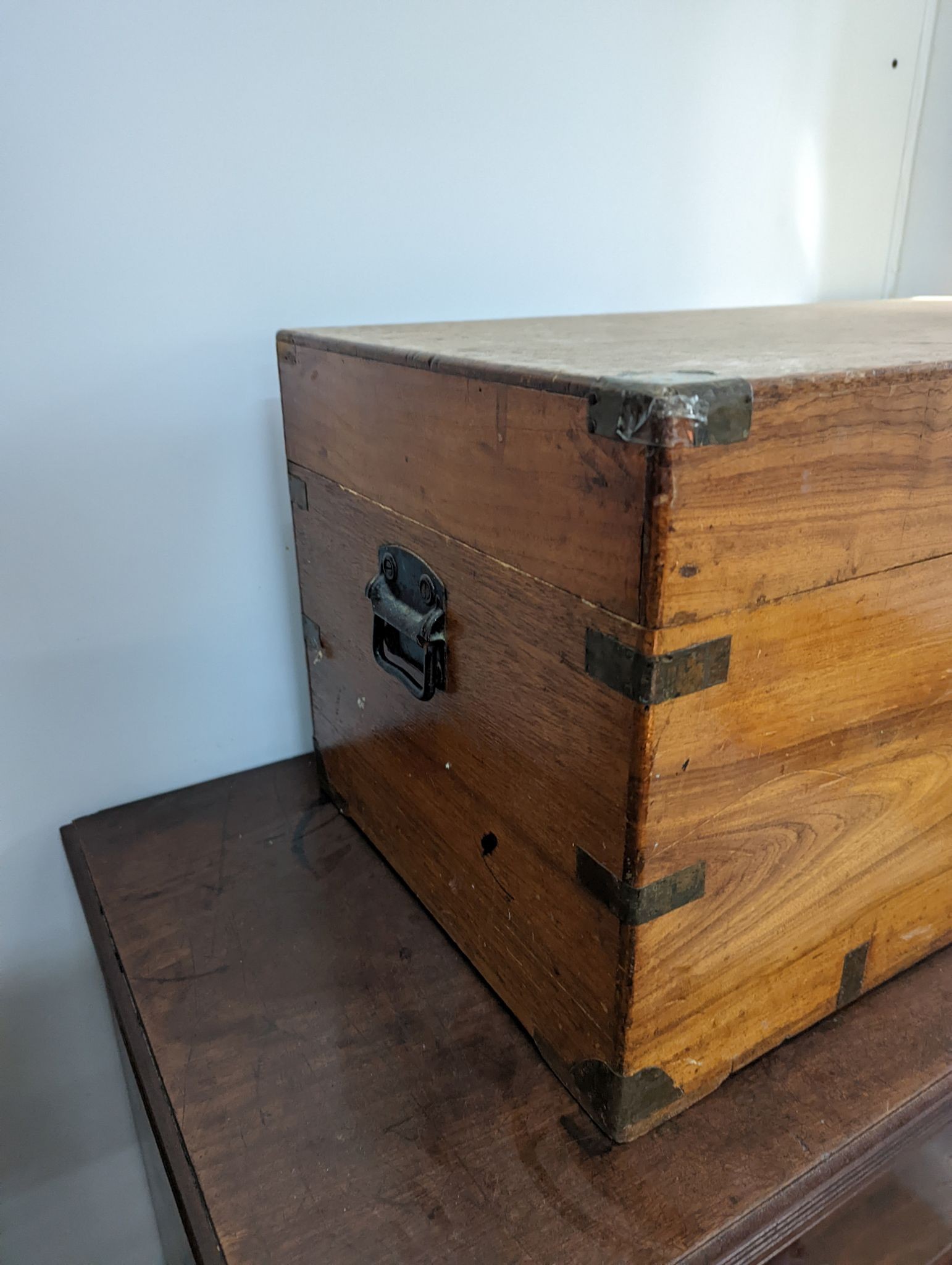 A 19th century brass mounted camphorwood trunk, length 84cm, depth 42cm, height 38cm